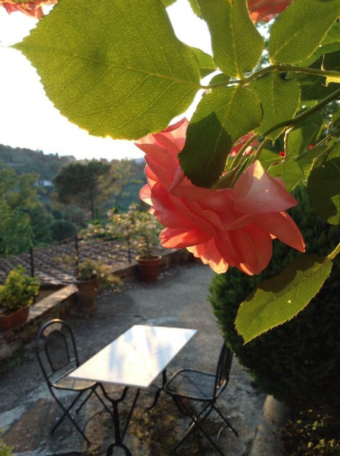 Fiesole In Giardino B&B Dış mekan fotoğraf